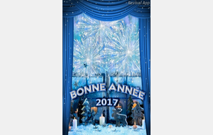 Bonne année 2017