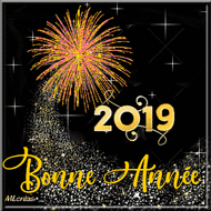 Bonne Année 2019 à tous avec que des bonnes choses