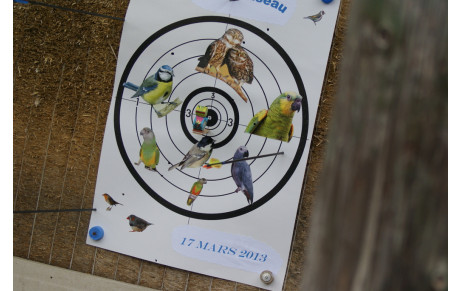 Abat oiseau  le 9 mars