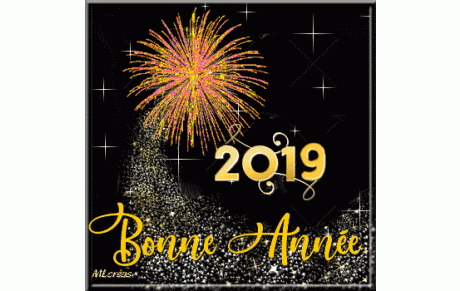 Bonne Année 2019 à tous avec que des bonnes choses