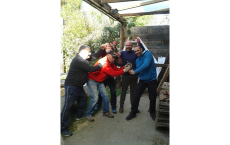 Travaux et jardinage