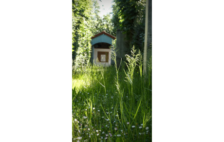 La compagnie en confinement